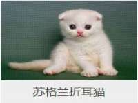 浙江港运石化有限公司