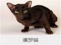 浙江港运石化有限公司