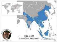 浙江港运石化有限公司