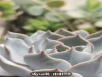 浙江港运石化有限公司