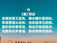 浙江港运石化有限公司