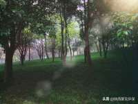 浙江港运石化有限公司