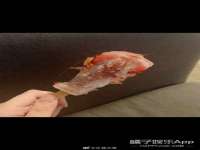 浙江港运石化有限公司